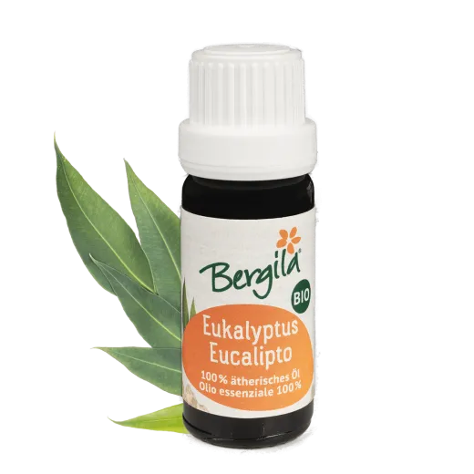 Eukalyptus Bio ätherisches Öl