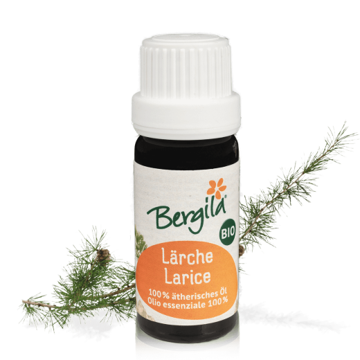 Olio essenziale di pino mugo biologico