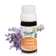 Lavendel Bio ätherisches Öl