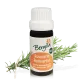 Rosmarin Bio ätherisches Öl