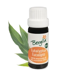 Eukalyptus Bio ätherisches Öl